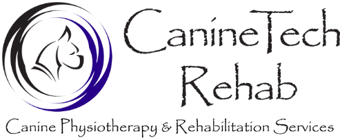 CAMPT Logo